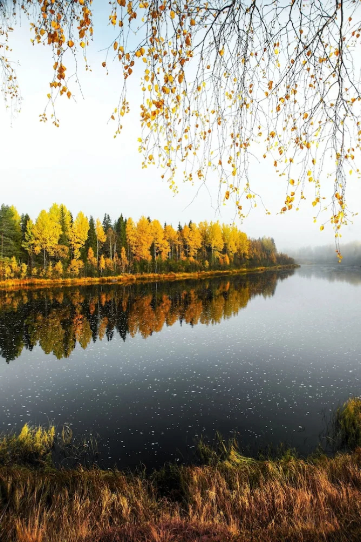 The Iconic Wikkelä Villa