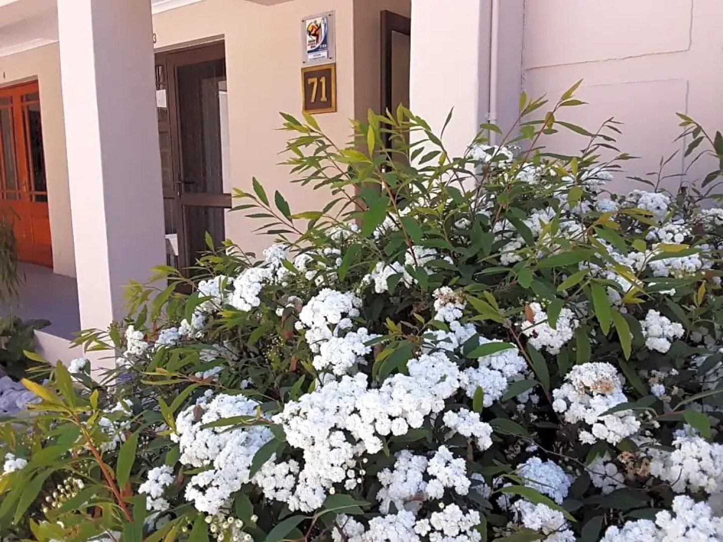 71 on Albert Guest House