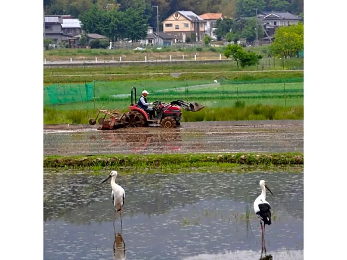 Pure Hotel - Vacation STAY 44187v