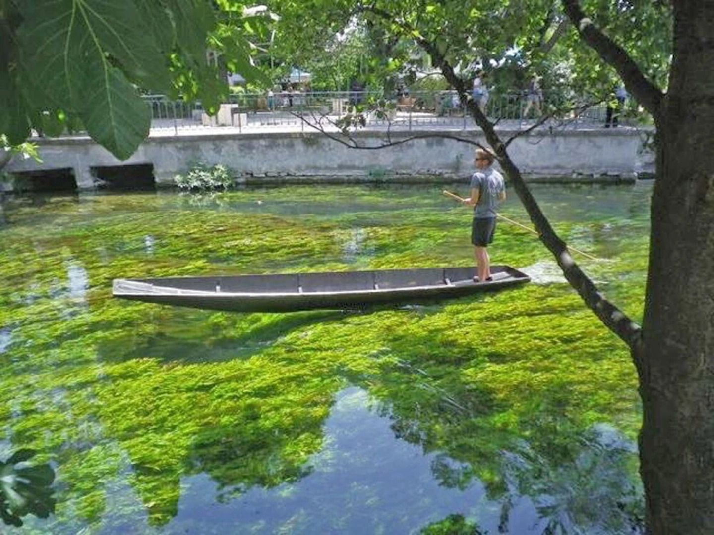 Provencal Holiday Home With Private Pool on 3000 m2 of Garden, in the Middle of the Luberon