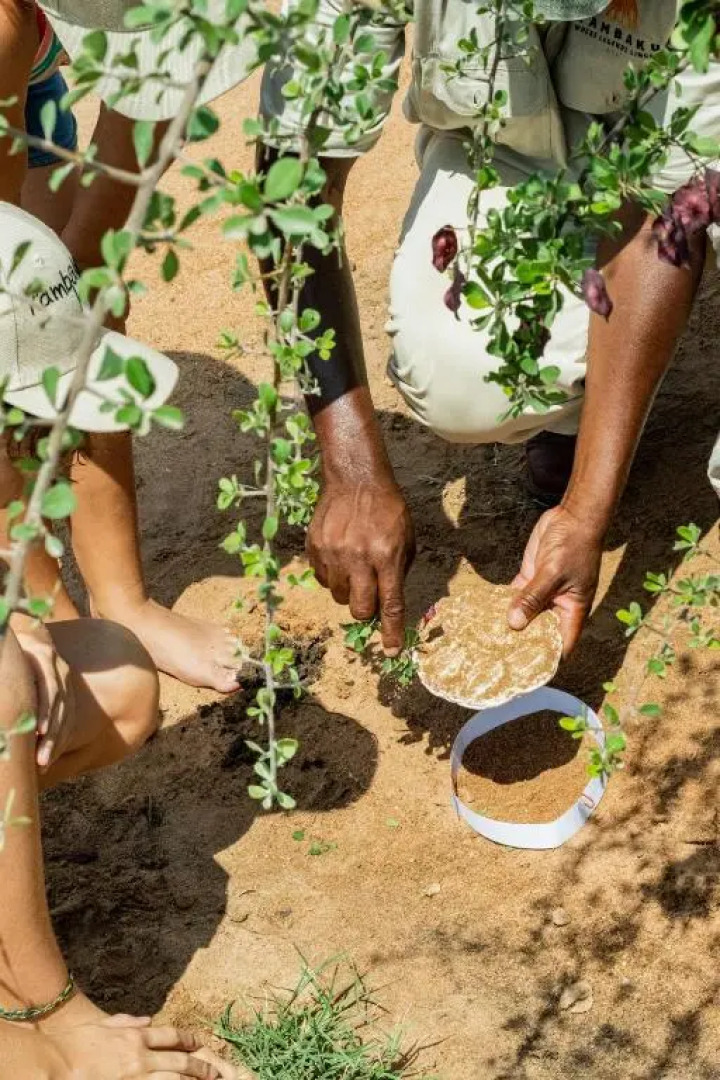 Kambaku Safari Lodge