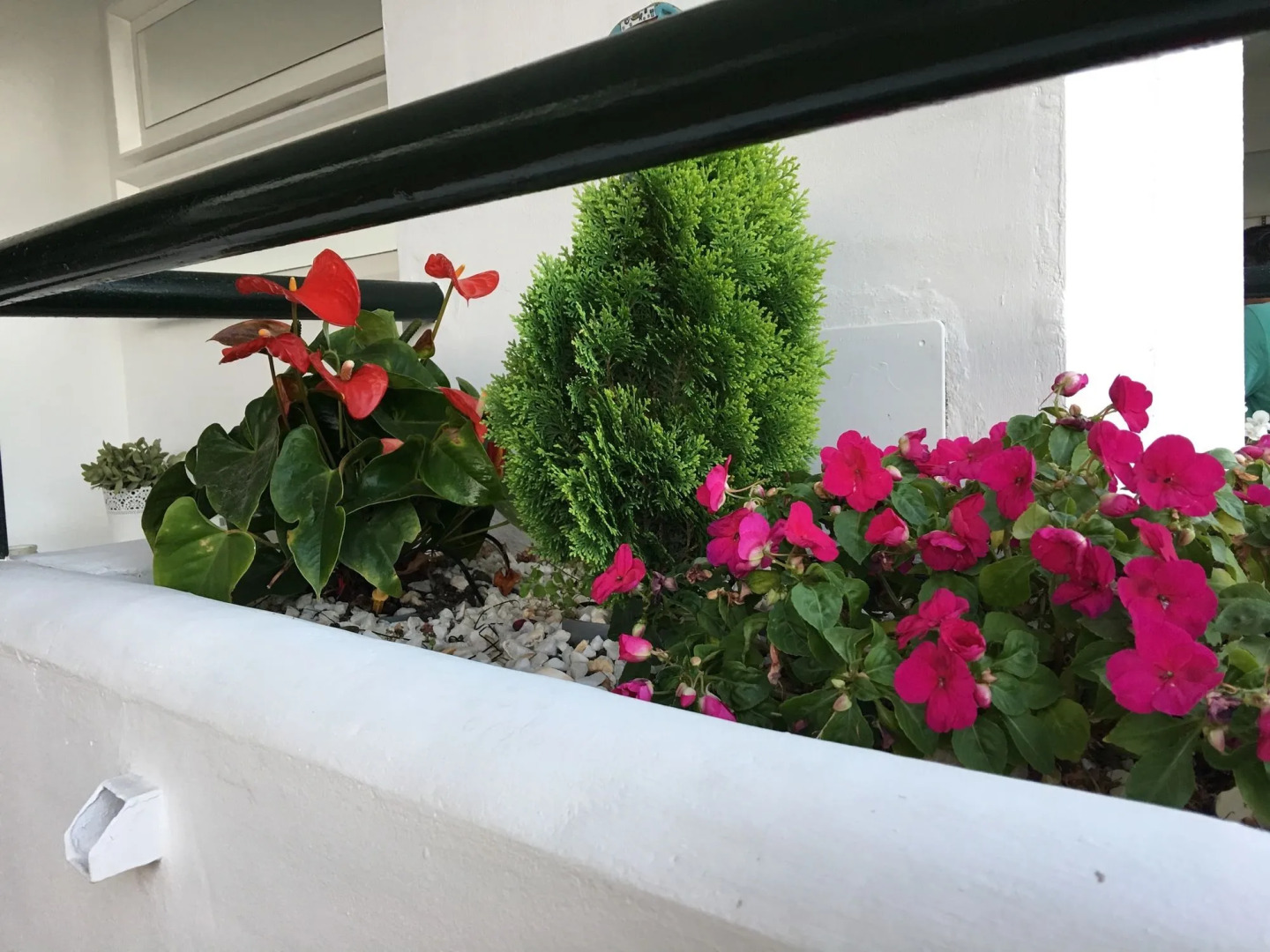 Mi Capricho Beachfront Apartment - Sitio de Calahonda