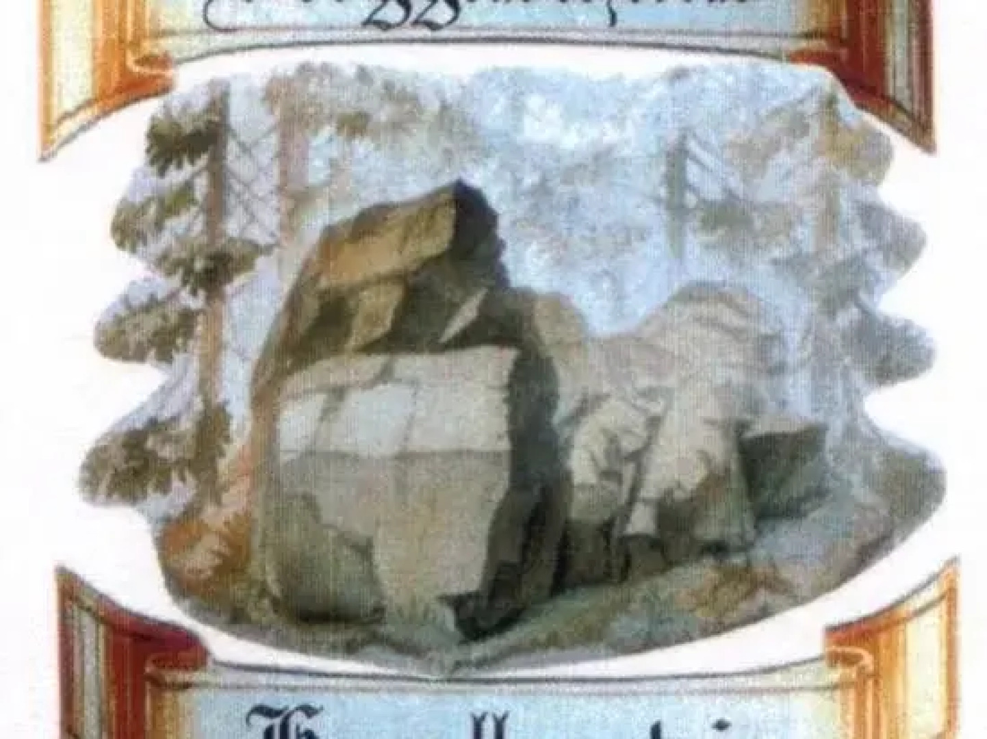 Pension & Berggasthaus Kapellenstein