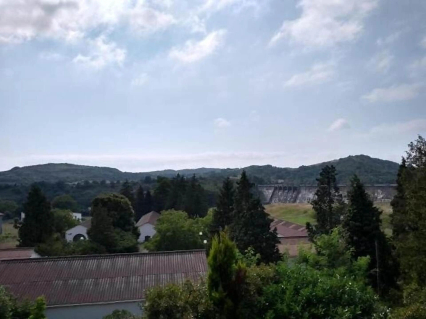 Lovely Cat's Room Urrunaga