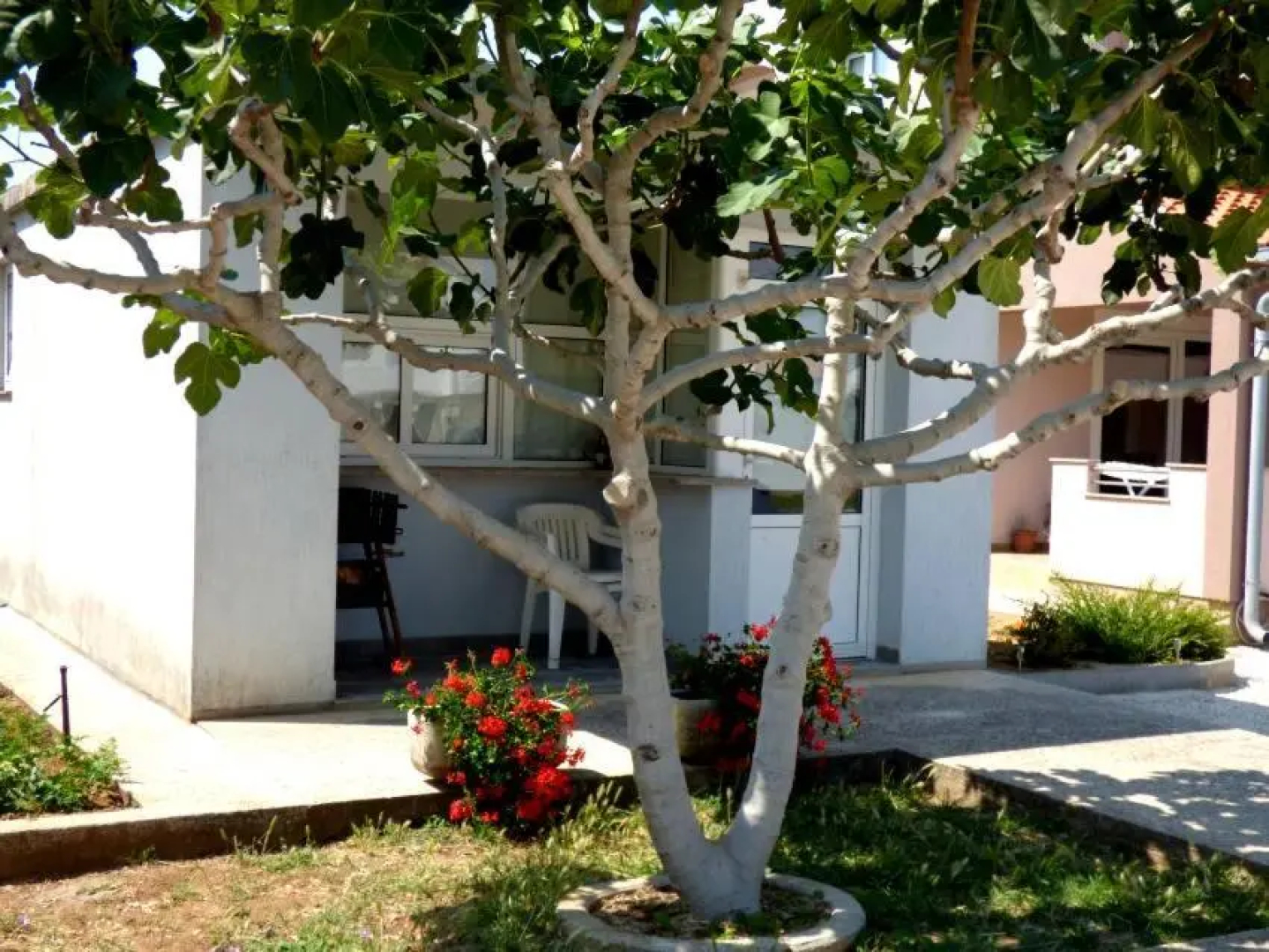 Apartments Branko