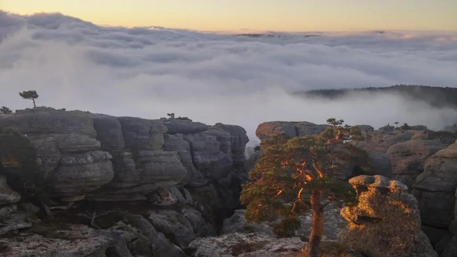 La Hosteria de Castroviejo