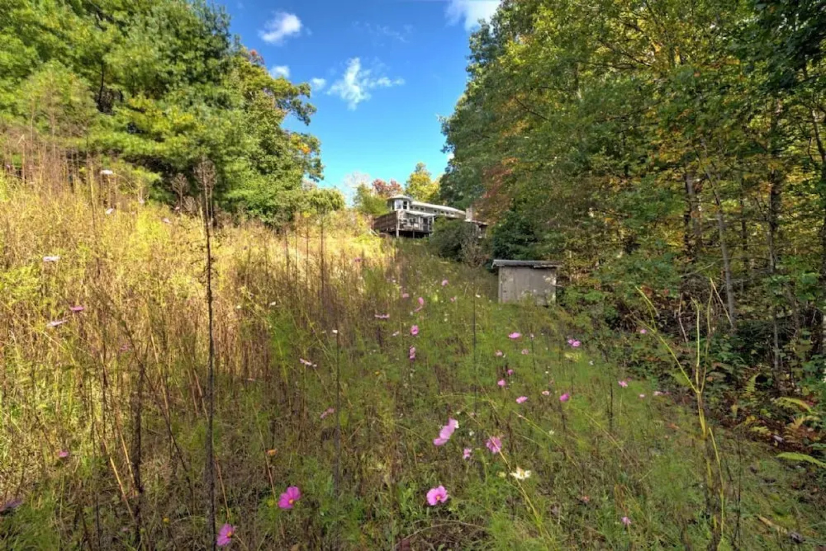 Wildflower Mountain Cottage - 3 Br Home