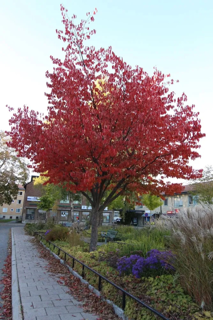 The Sundeck-a romantic apt in Tallkrogen