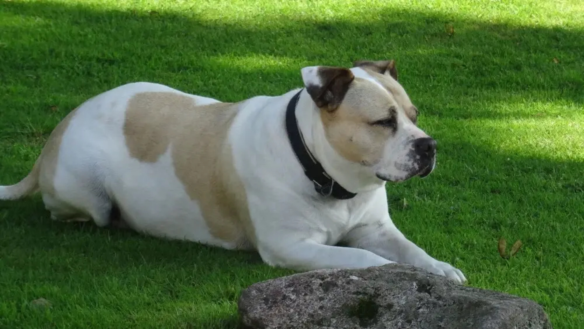 Sandhill House Country House Retreat