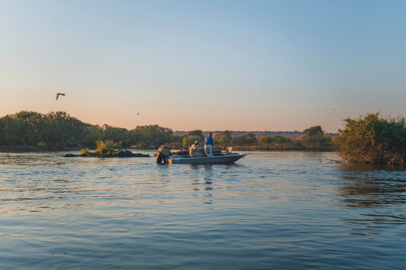 Zambezi Queen by Mantis