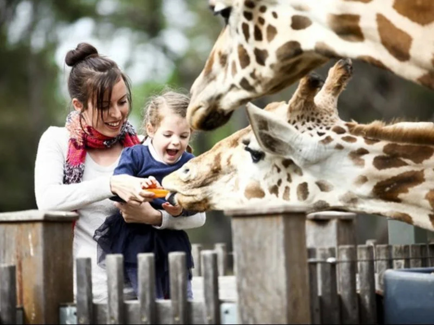 The Palms Motel Dubbo