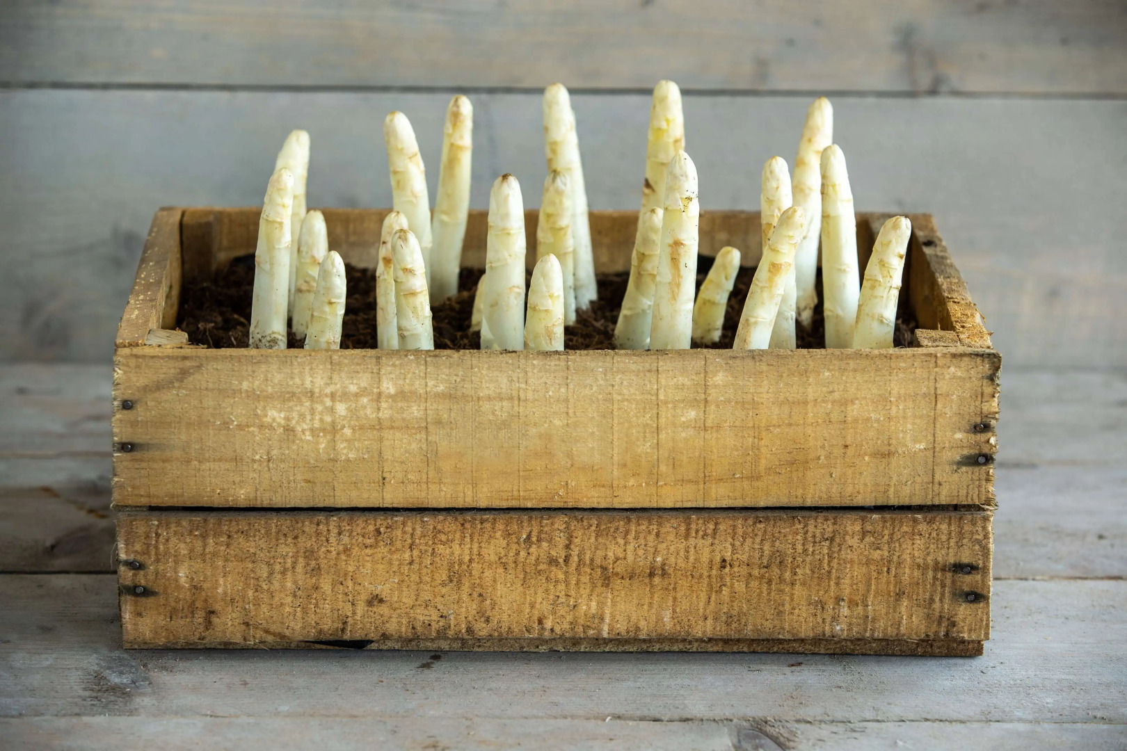 Radisson Blu Hotel, Antwerp City Centre