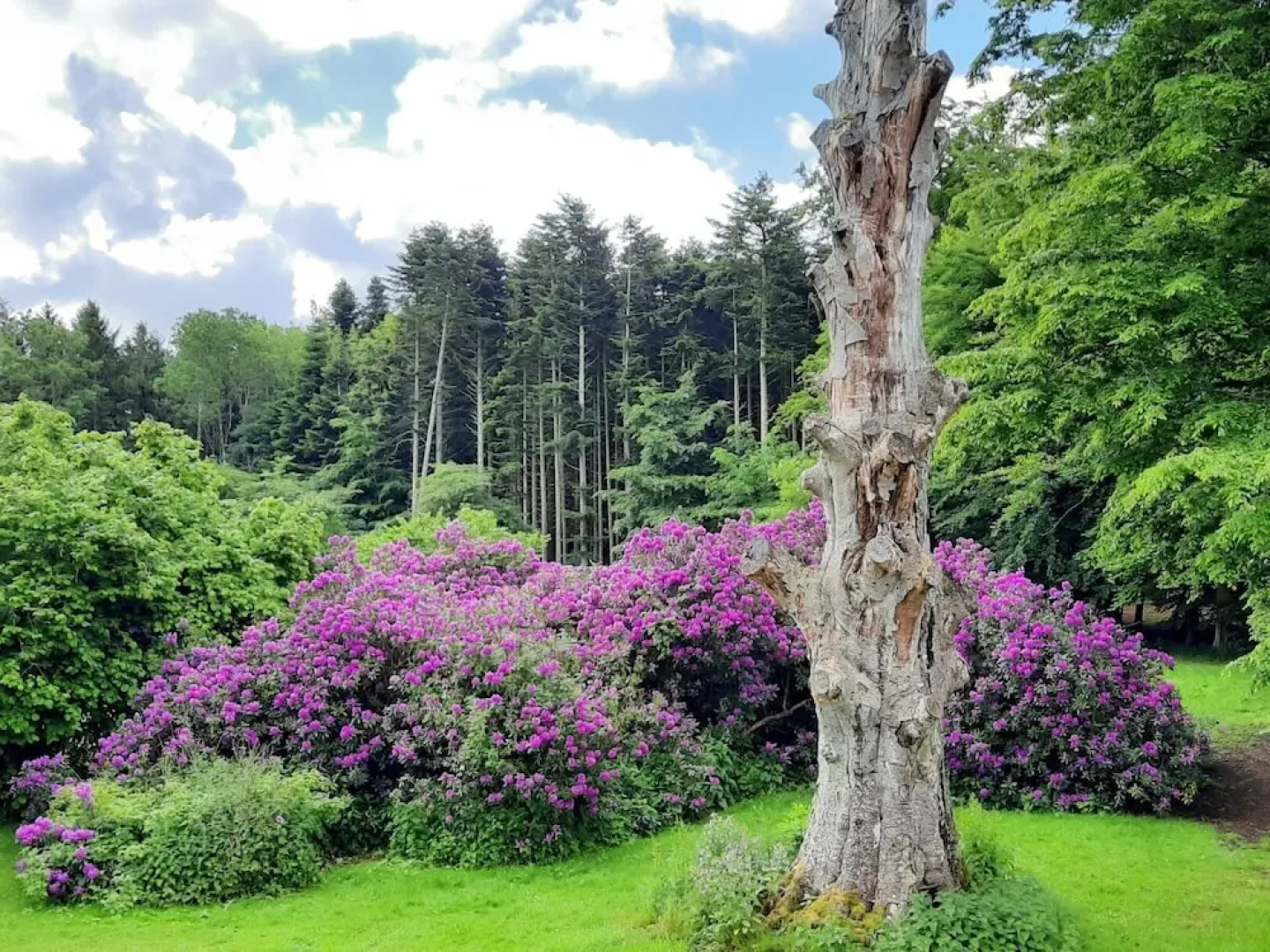 Pederstrup Bed and Breakfast