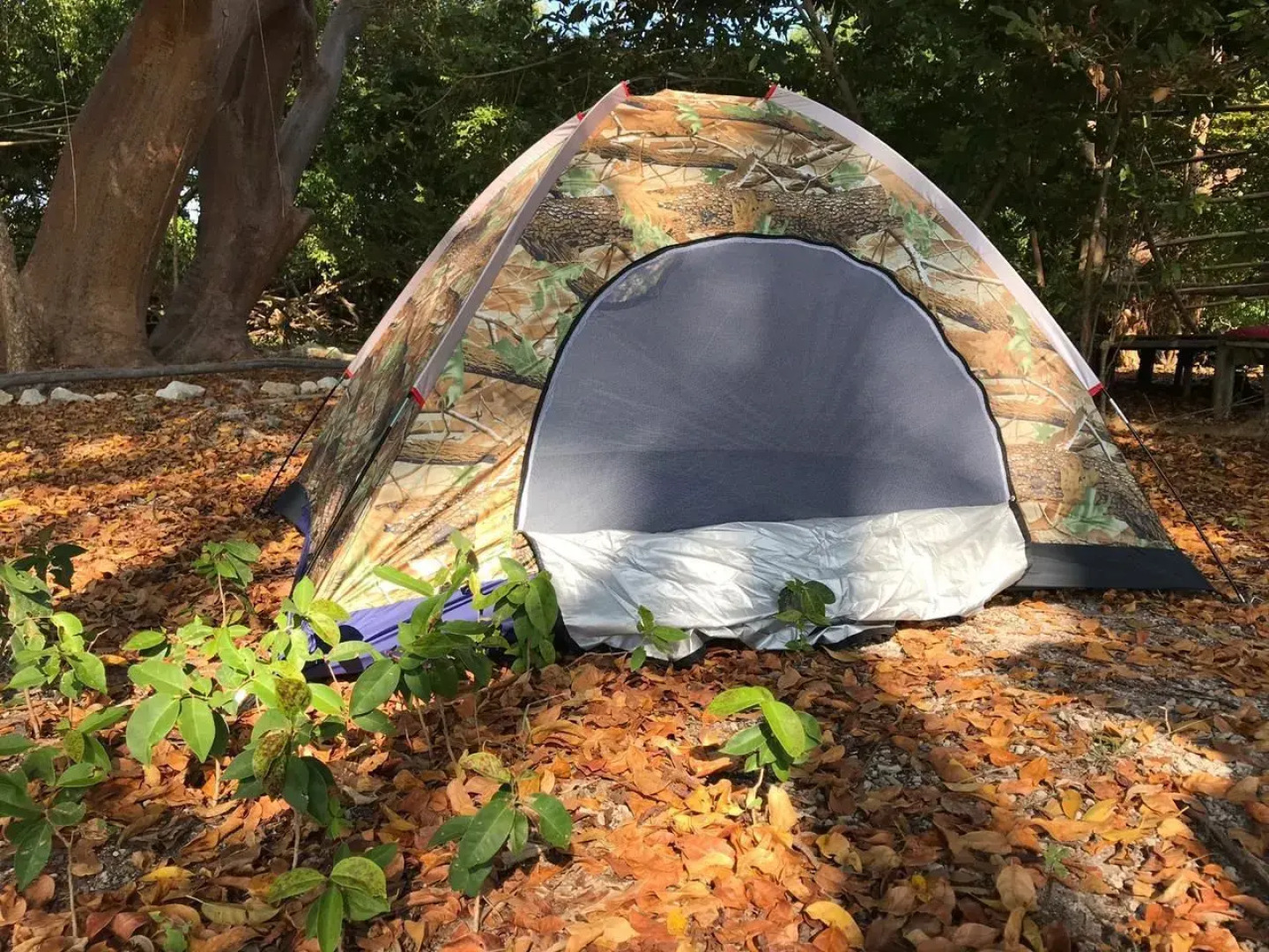 Mistica Island Hostel