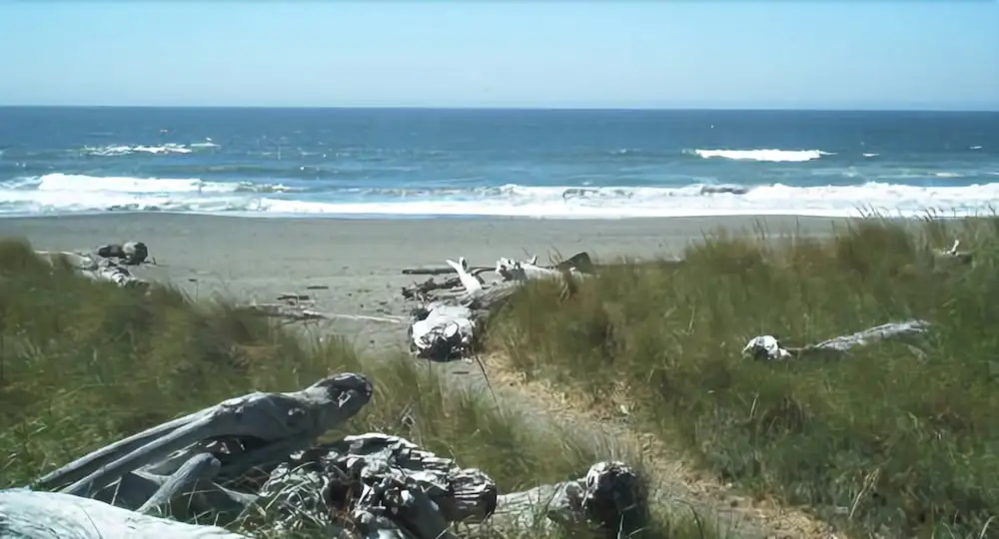 Inn of the Beachcomber