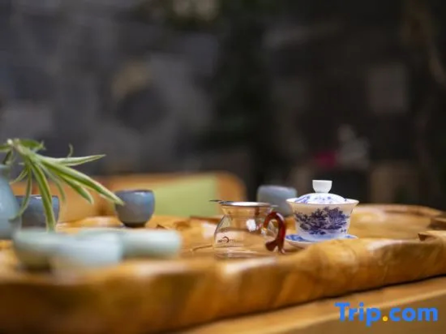 Tseten Wangmo Resort