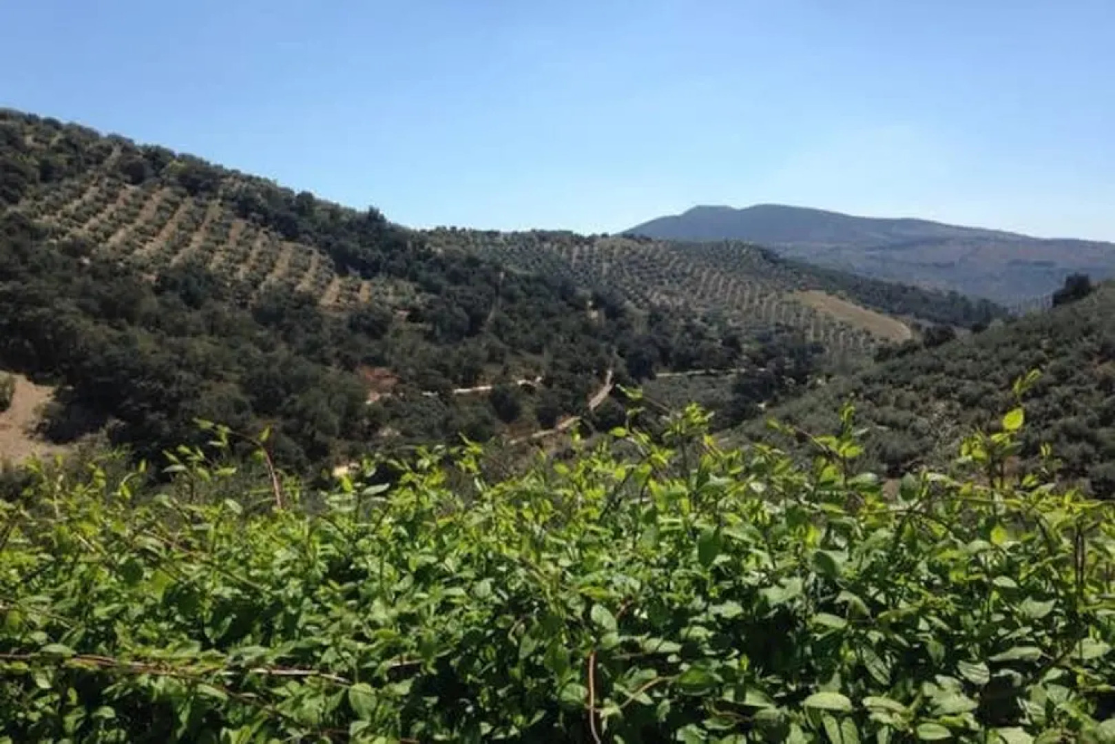 House With 6 Bedrooms in Montefrio, With Pool Access and Wifi