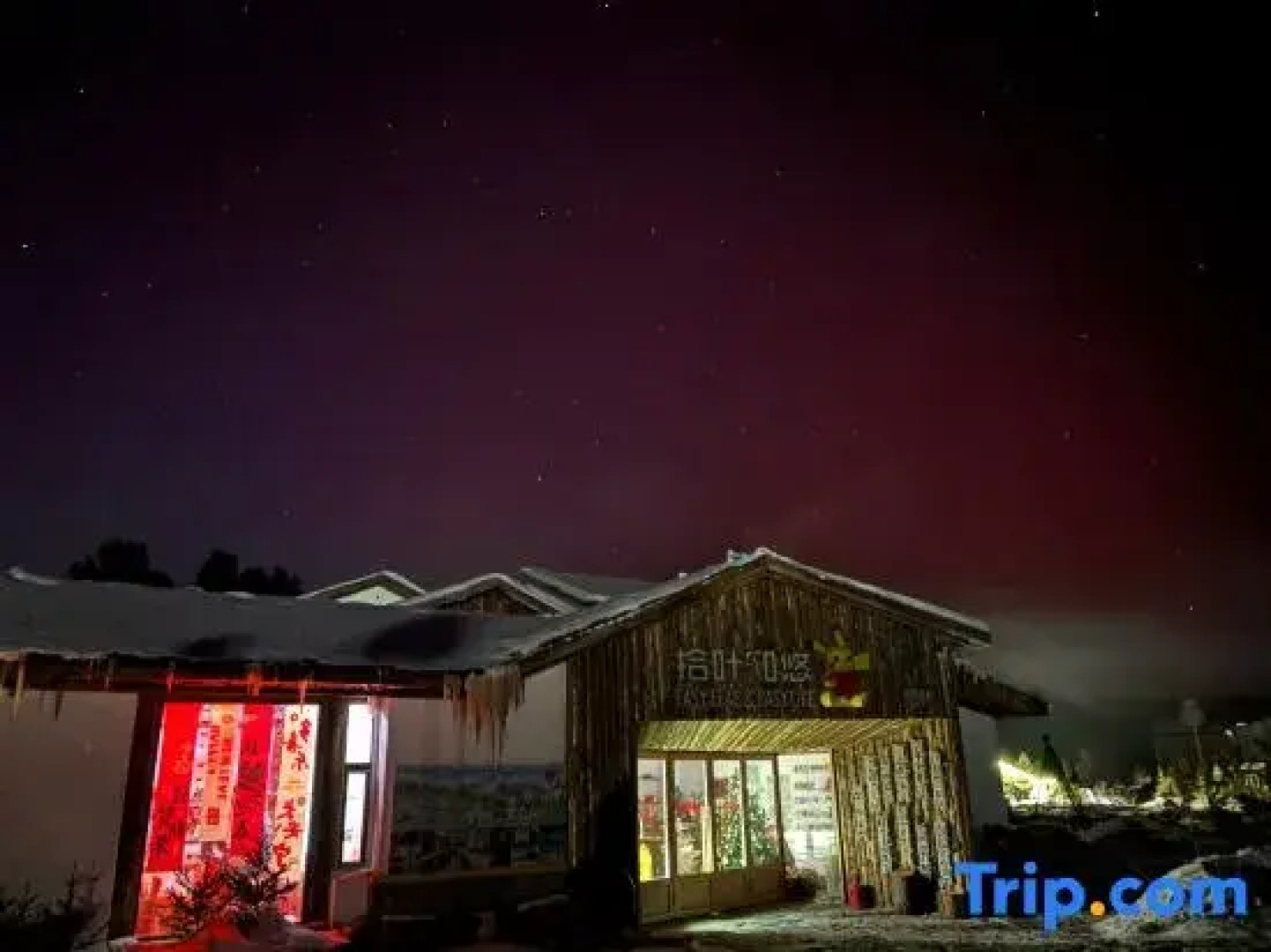 easy leaf & easy life