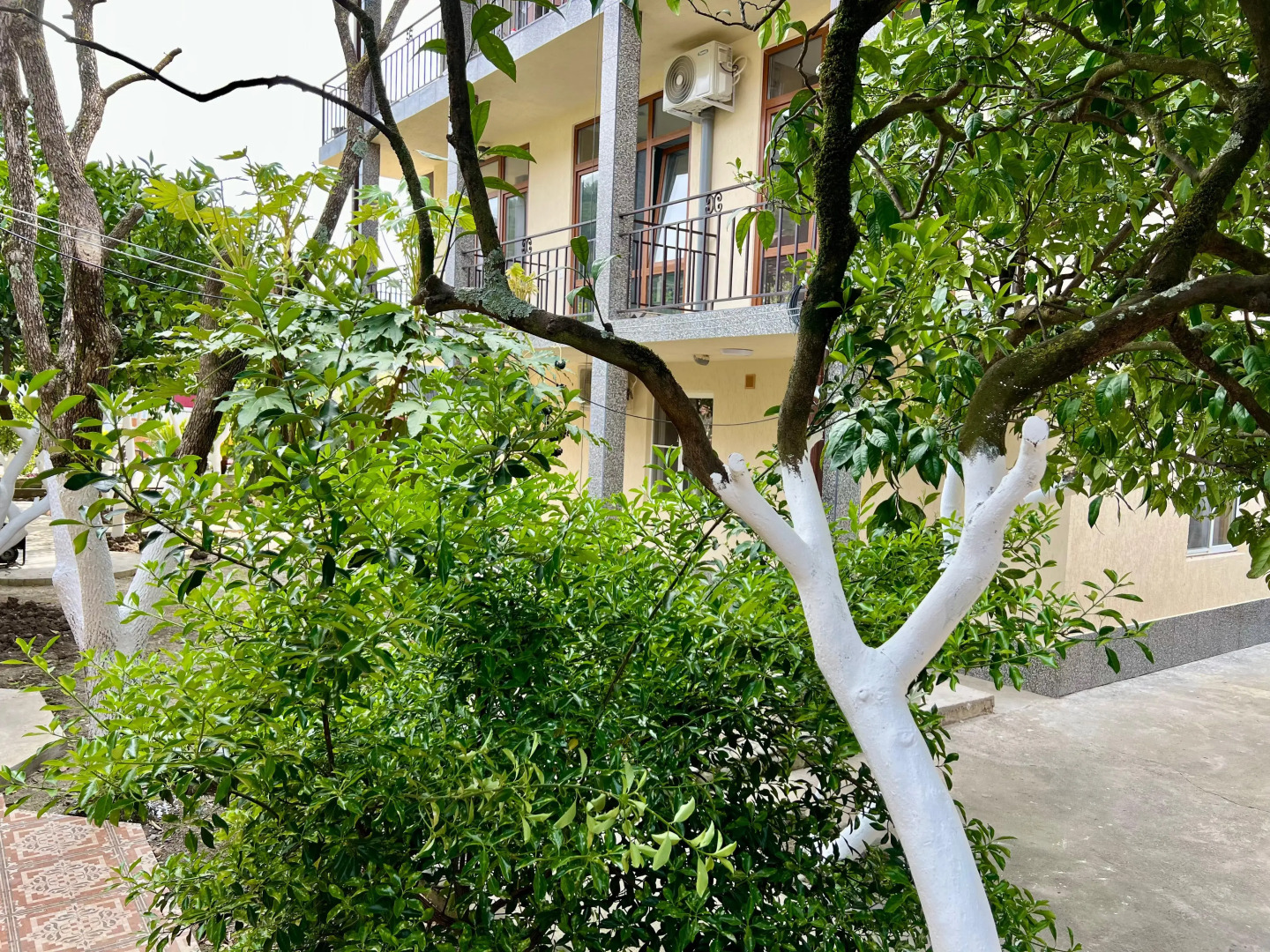 Стрелец (Цандрипш)