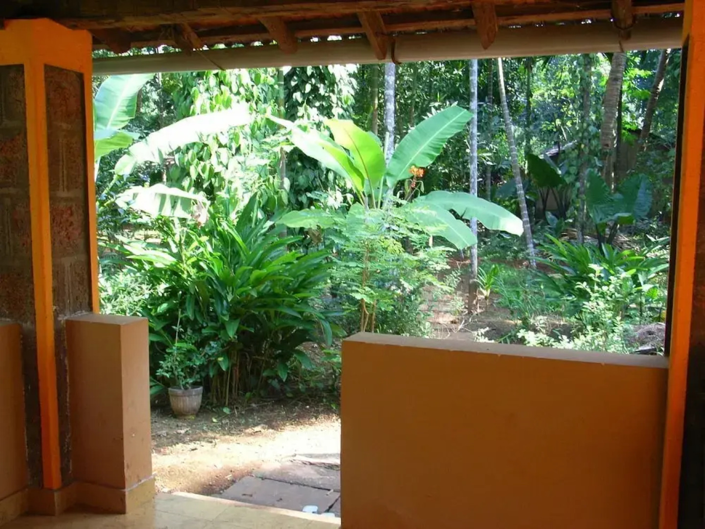 Dudhsagar Plantation