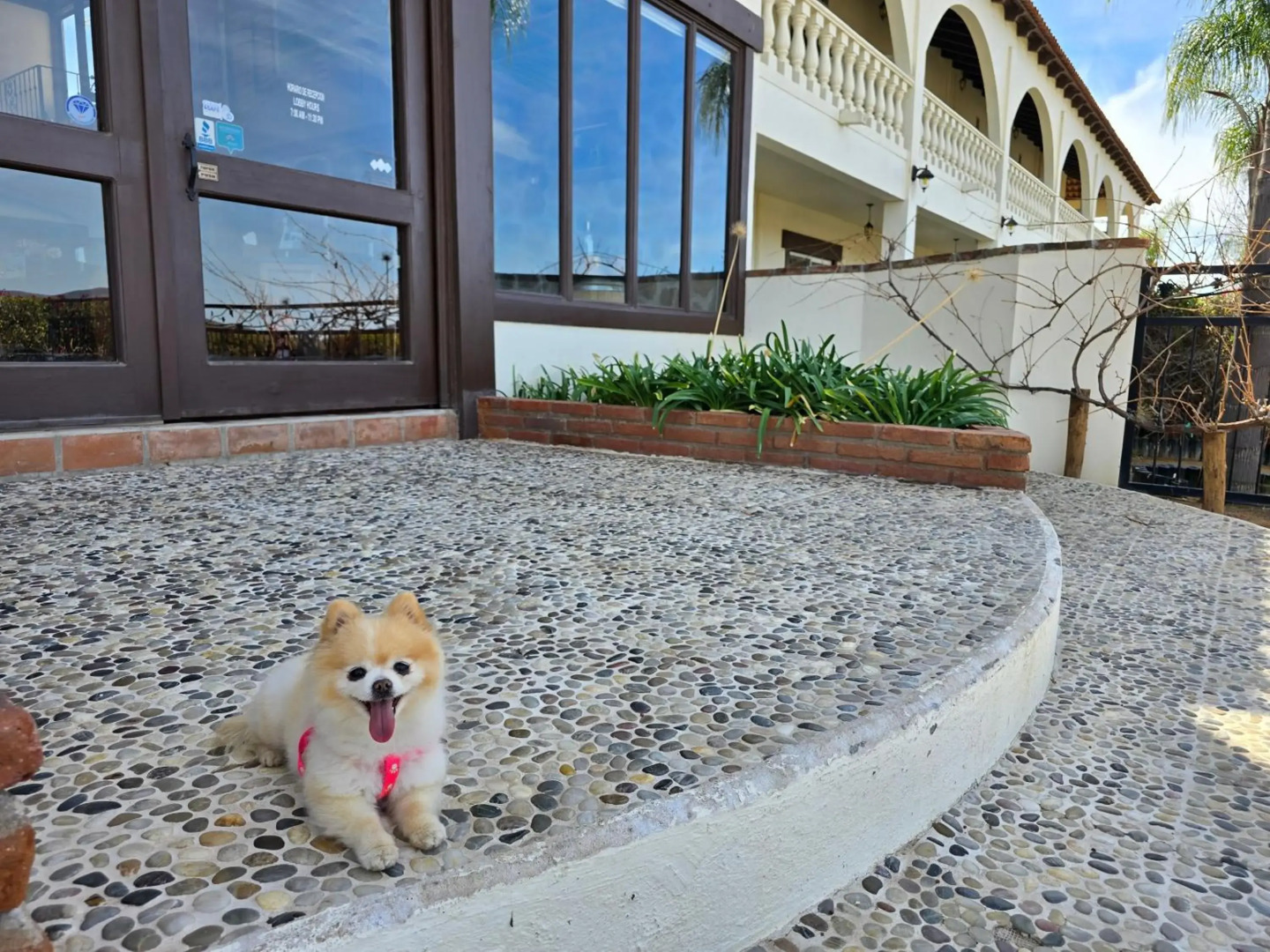 Hotel Hacienda Guadalupe