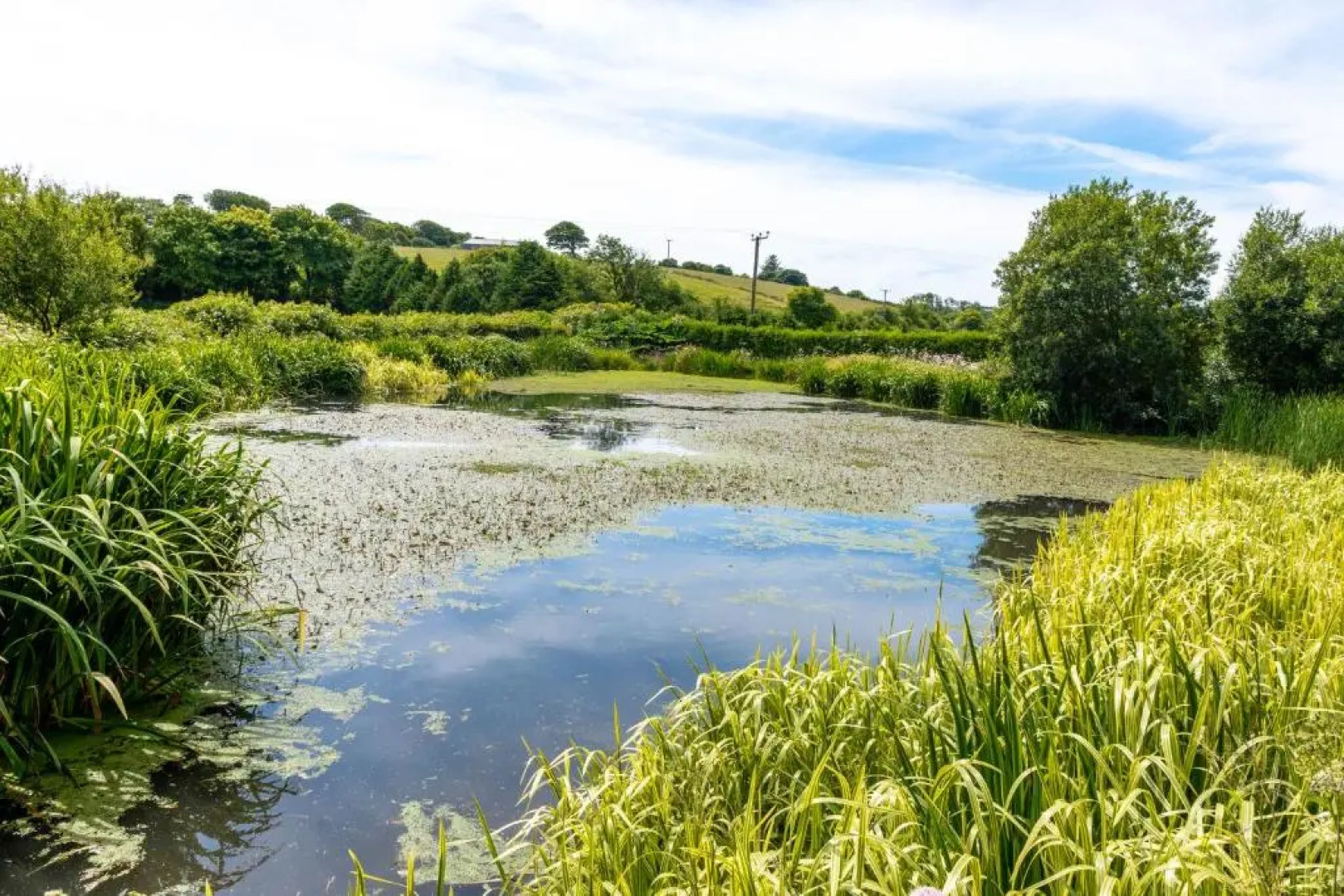 Ta Mill Holiday Cottages & Lodges -Ta Mill House