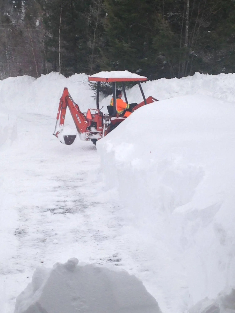 Snowflake Manor Bed & Breakfast
