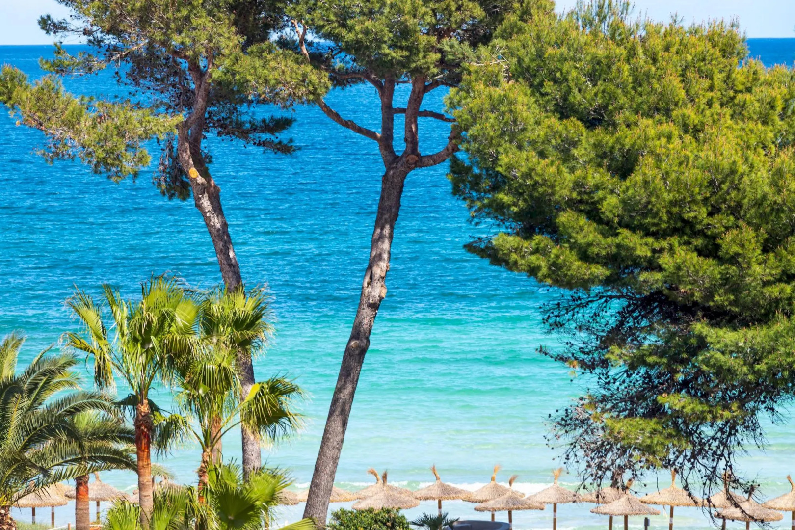 Loft studio with shared pool, near the beach