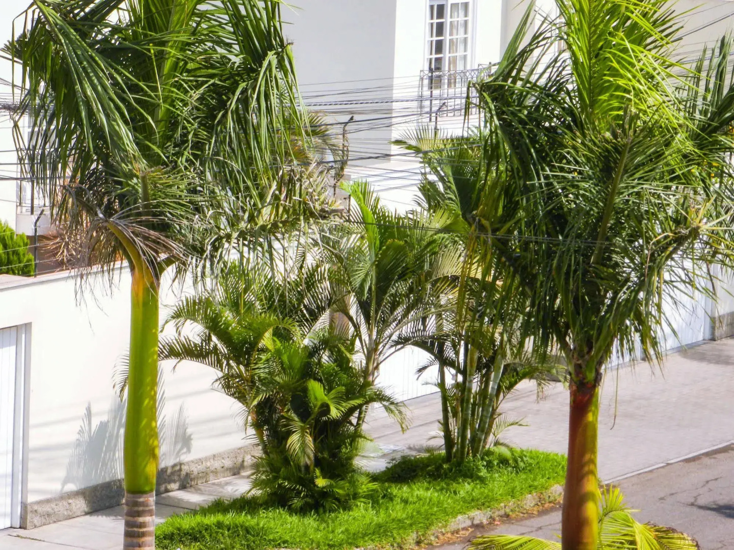 Trujillo El Golf Apartments