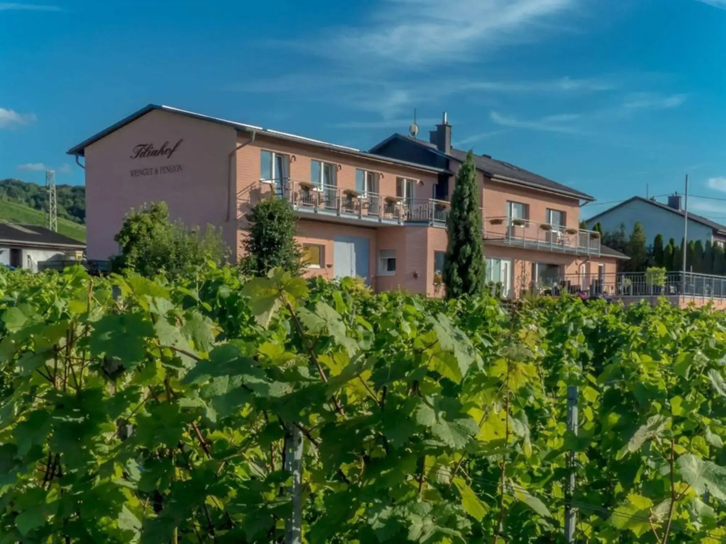 Weingut-Pension Tiliahof