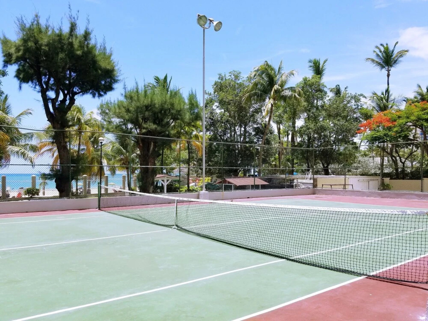 Beachfront Coral Beach Condo 305