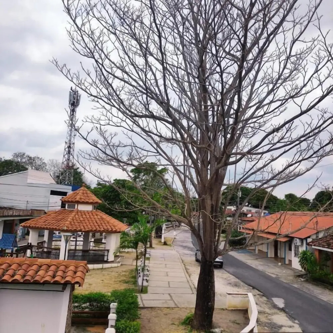 San Carlos Beach Inn