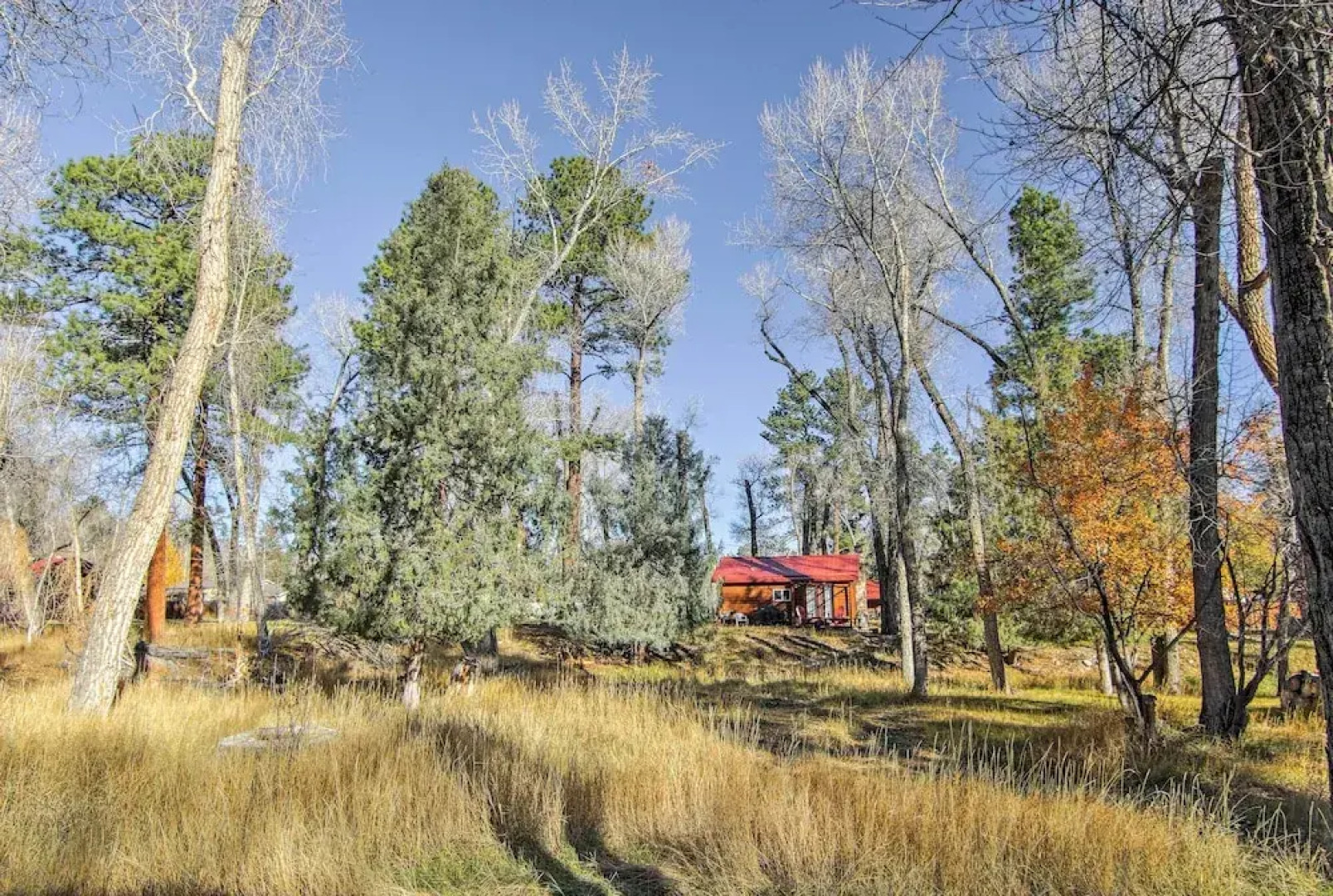 Cozy Colorado Cabin w/ Deck, Grill & River Access!