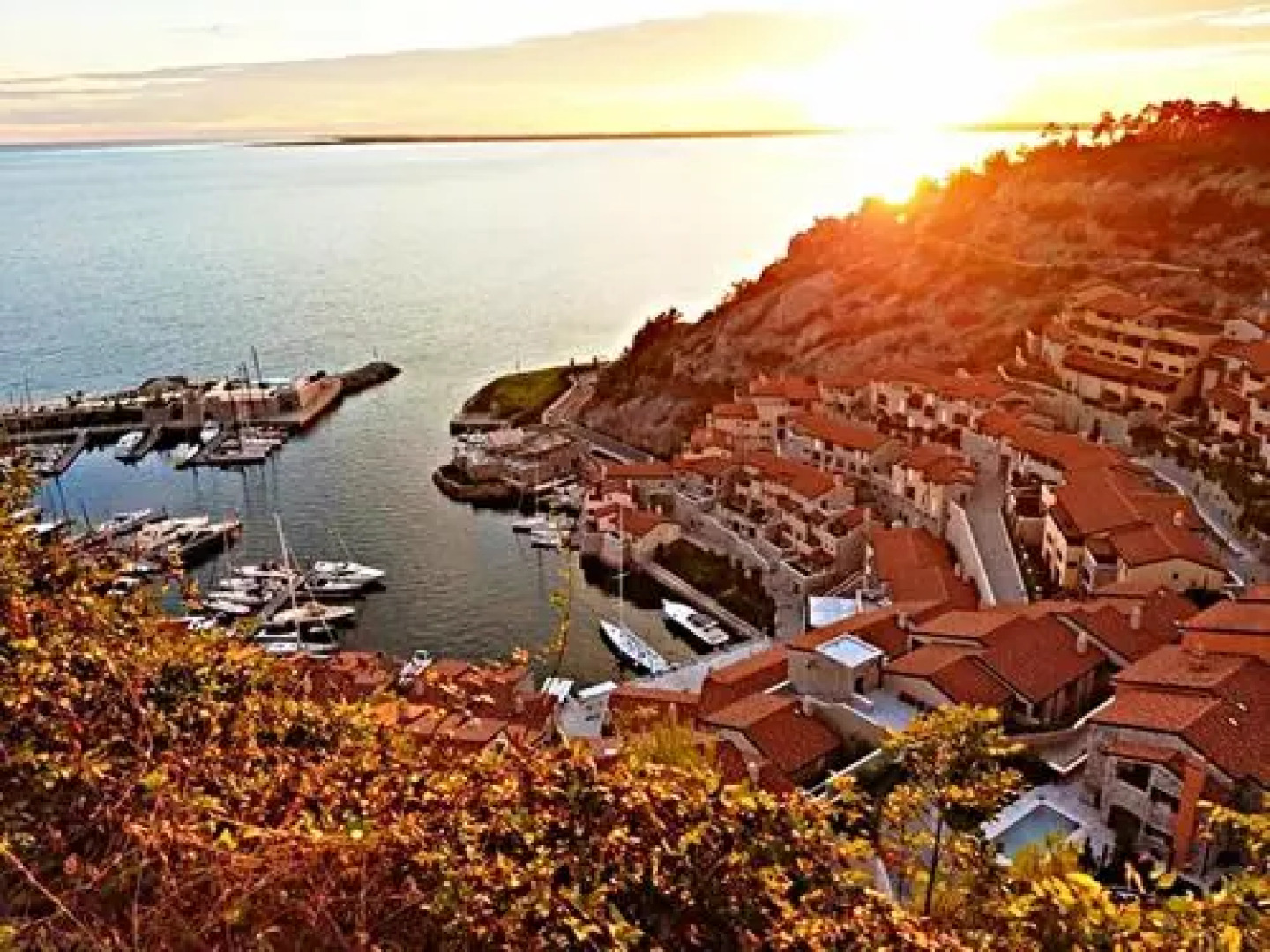 Avolare in Portopiccolo