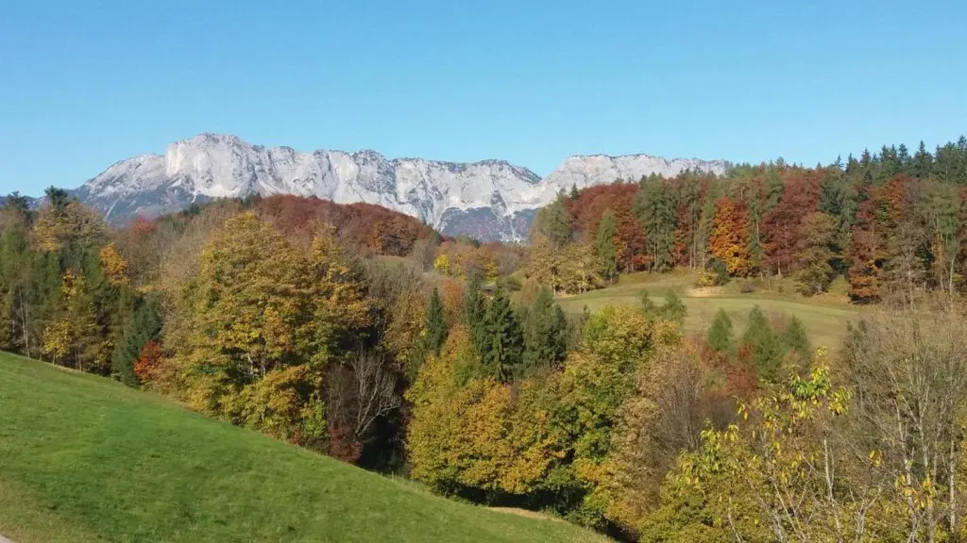 Ferienwohnung Löffelberger