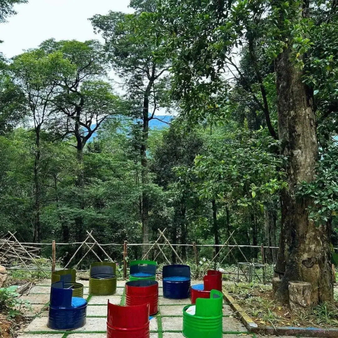 Skyfall Adventures Forest Pool Resort