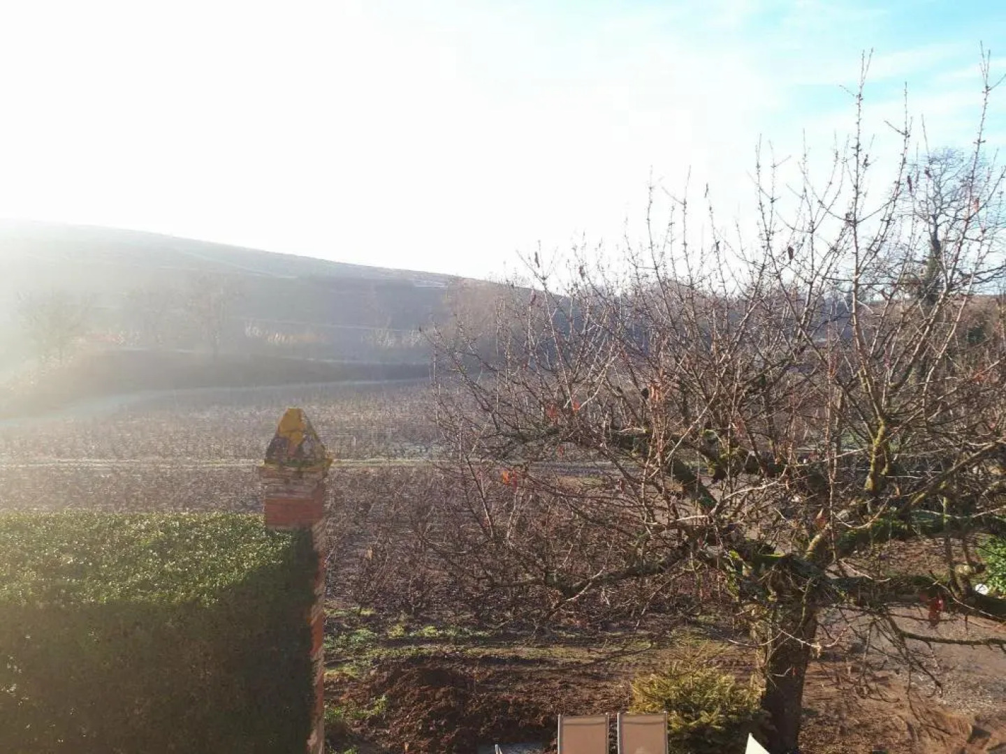 La Maison des Vignes