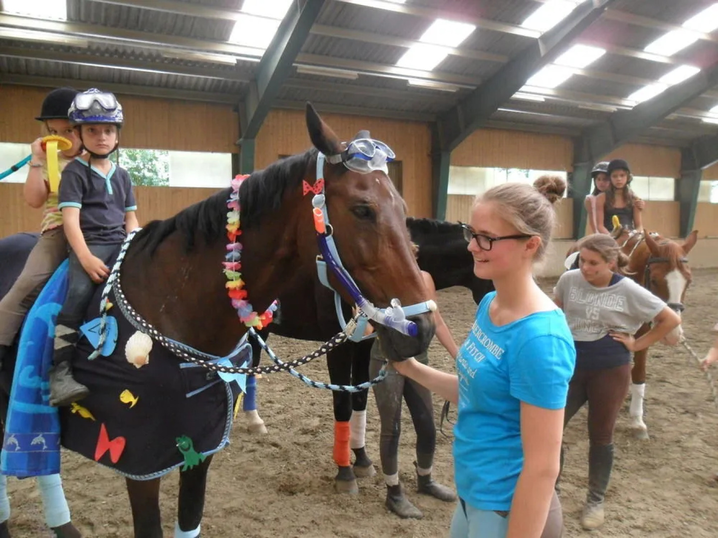 Hotel Restaurant Gut Drasing