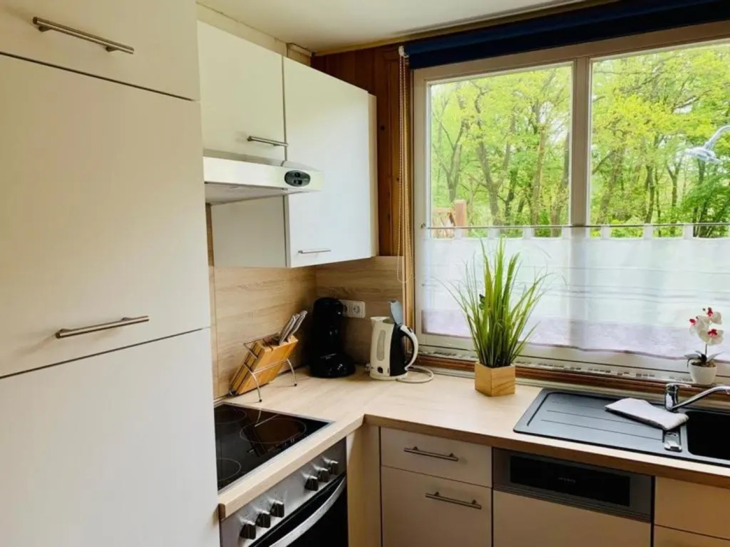 Ferienpark - Komfort-Ferienhaus mitten in der Natur 5 Personen