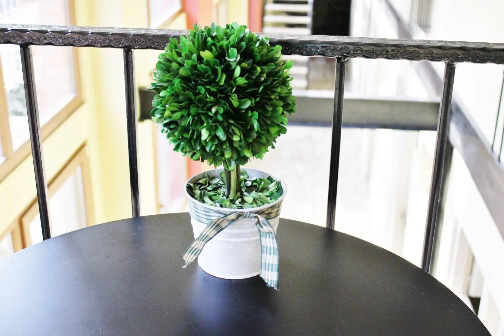 Гостиница Red Fox Guesthouse