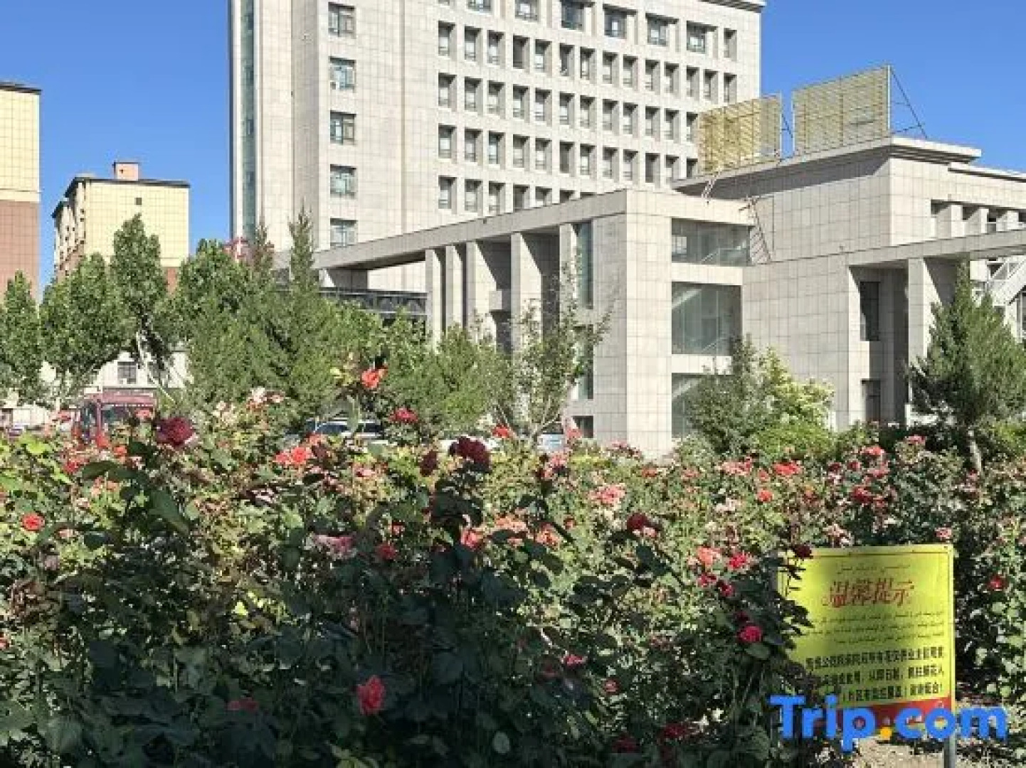 Shaya Yinqiao Kaiyue hotel