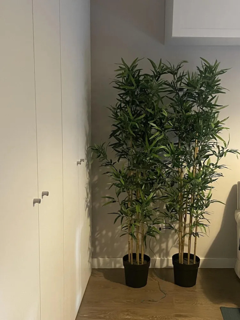 Captivating Apartment in Setubal, Portugal