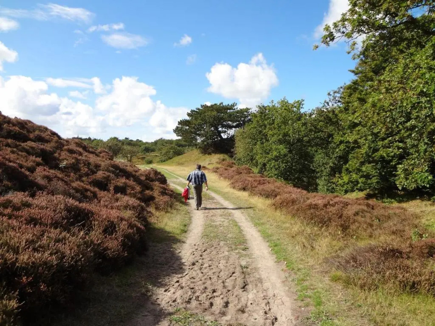 Apartments Four Seasons Zuiderstraat