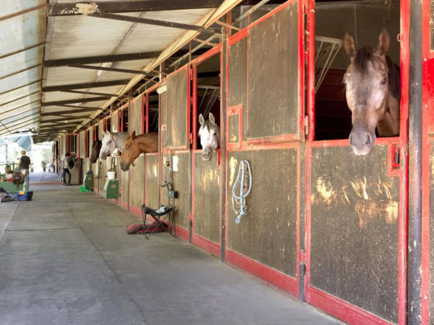 Tipologia Bilocale 15110