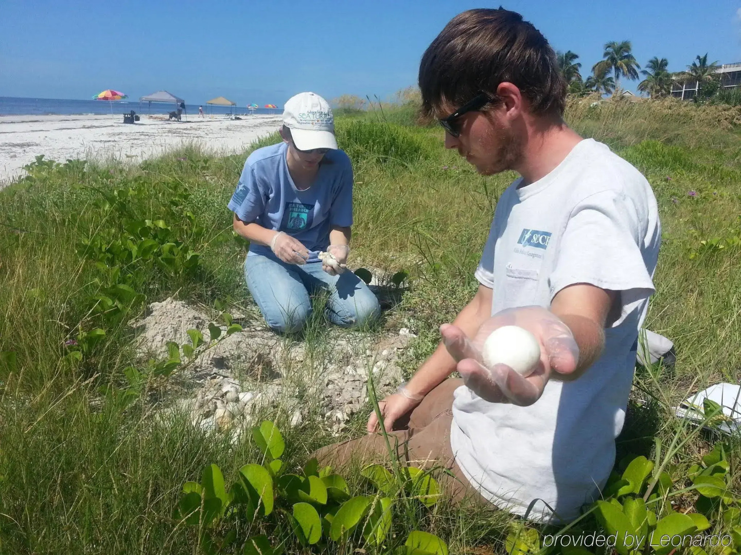 Sanibel Siesta on the Beach