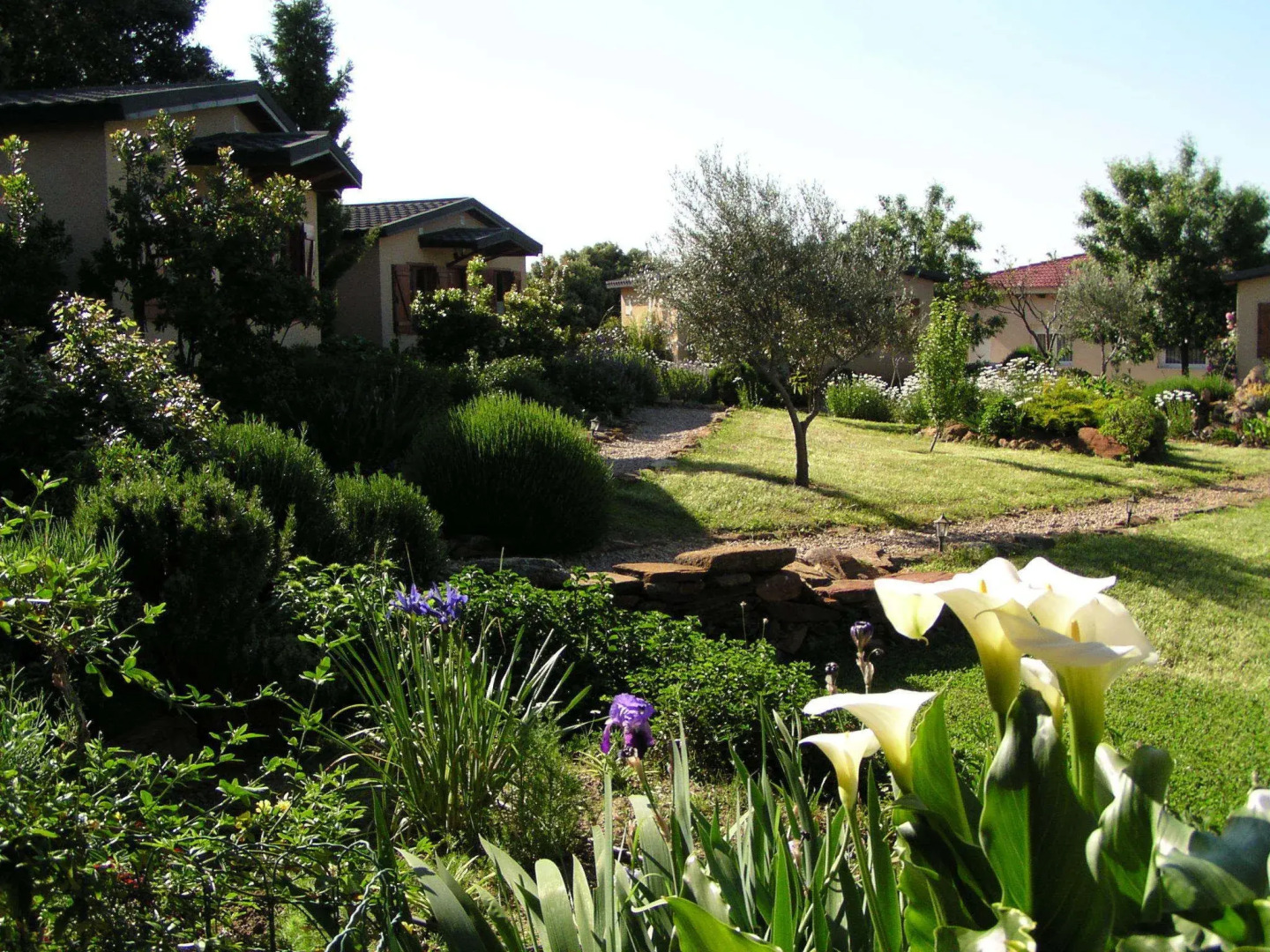 La Cerca Del Alcornoque