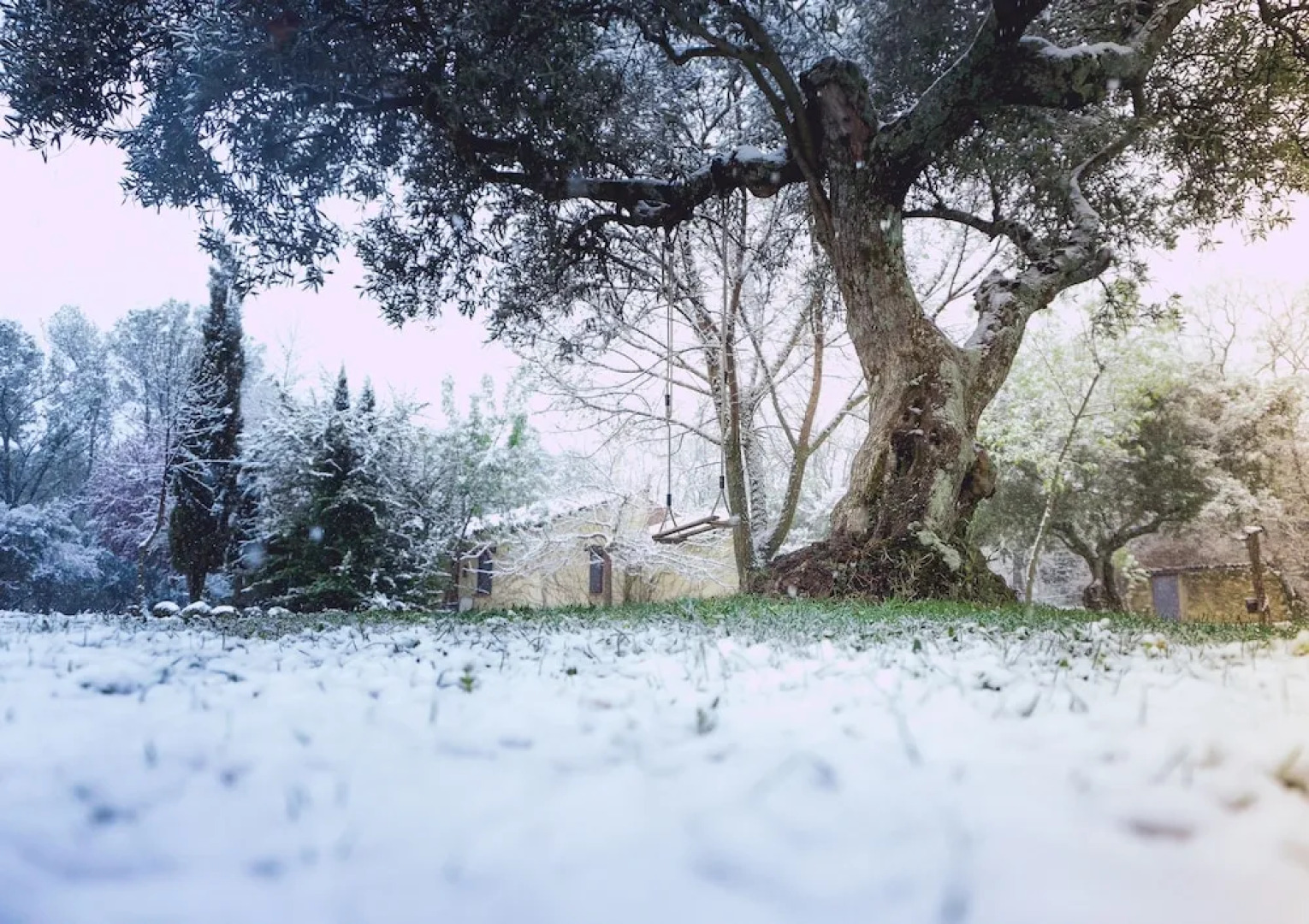 El Manantial Del Fresno