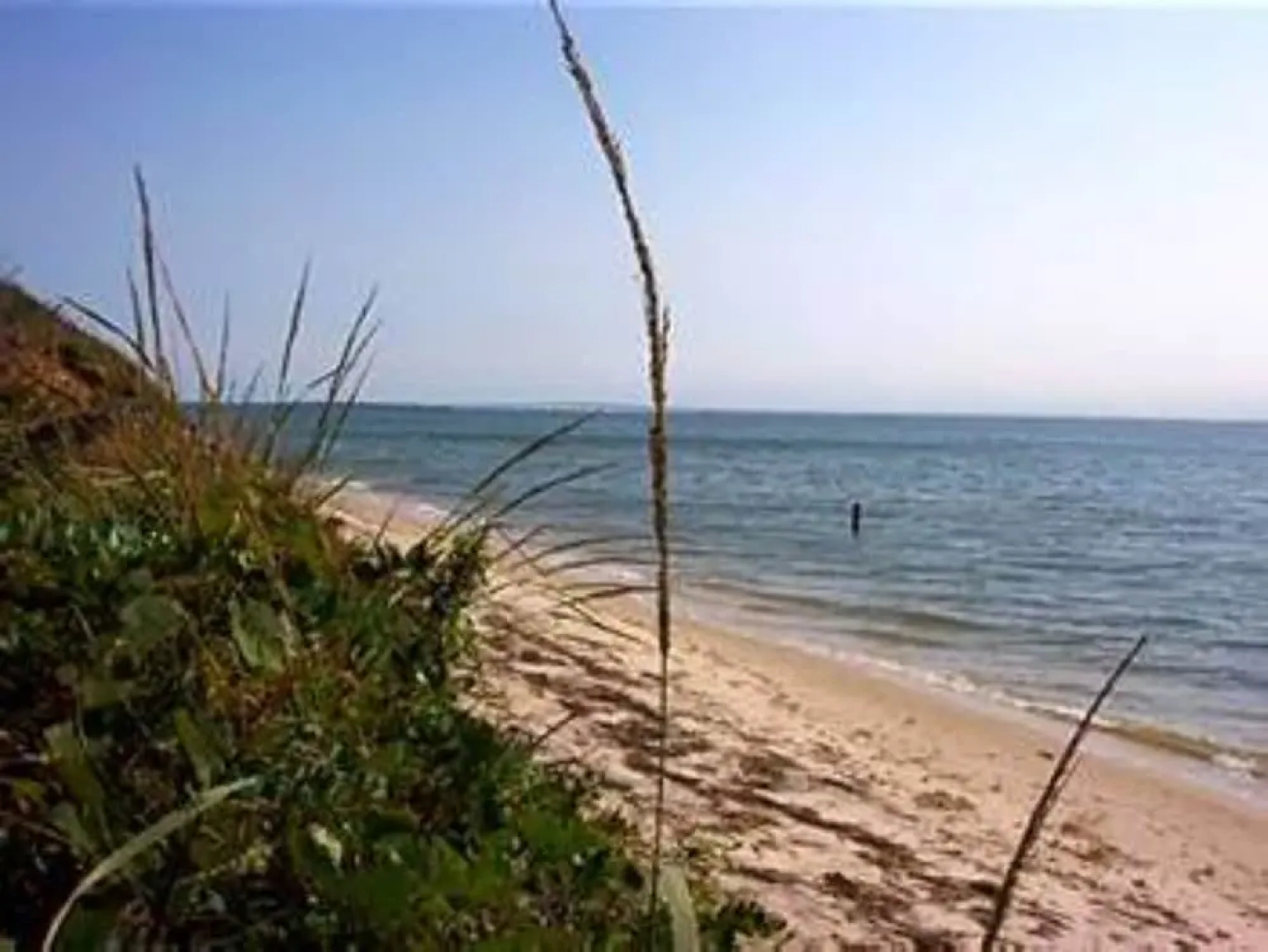 The Baywood Bed & Breakfast