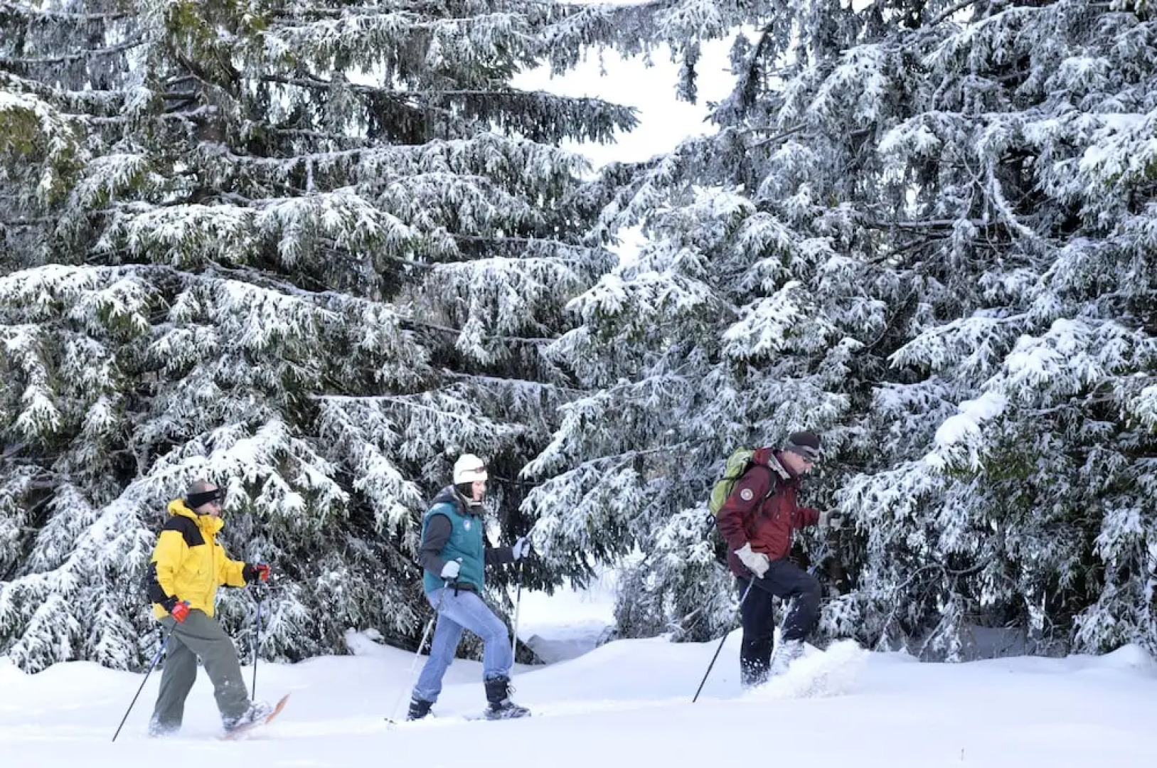Le Domaine du Mongade by Popinns
