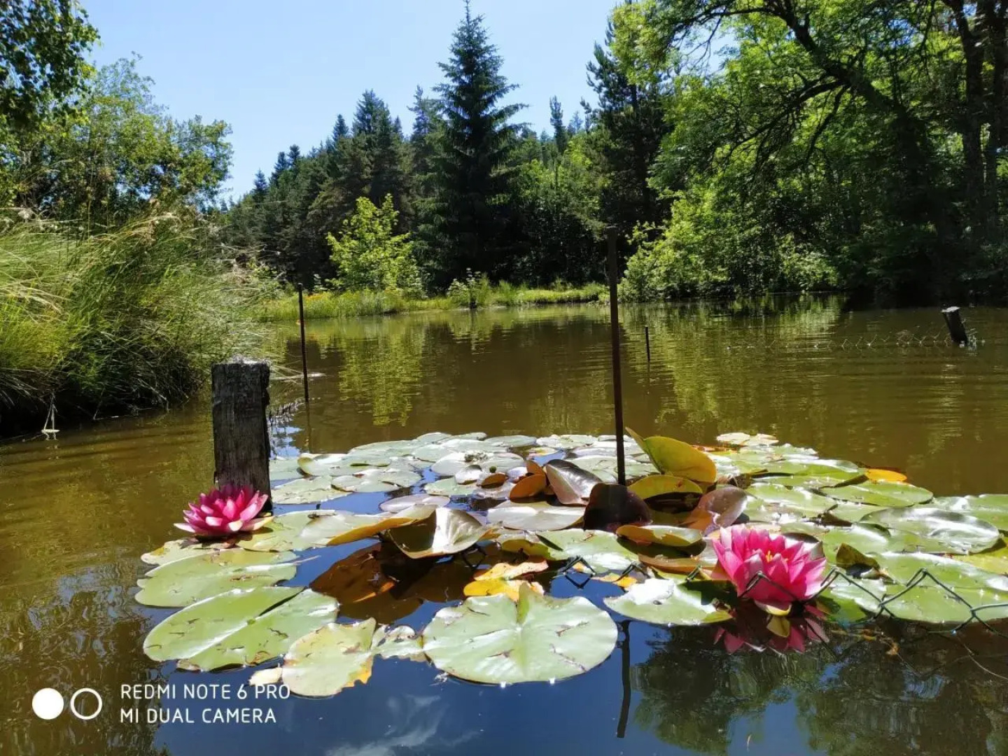 Re(S)Source (Adults Only)